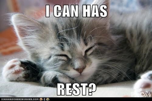 I CAN HAS  REST?