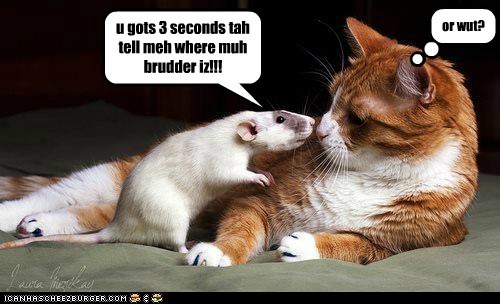 weez gonna fight buddy!