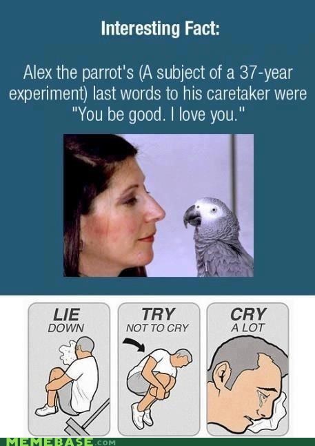 Or Just Skip to Step Three