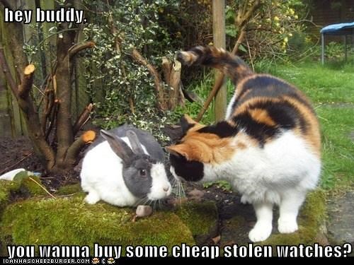 hey buddy,  you wanna buy some cheap stolen watches?