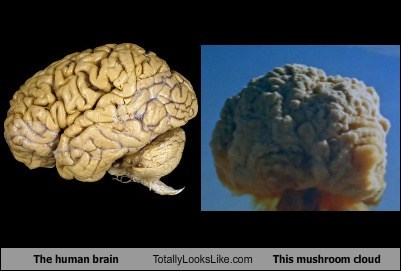 The Human Brain Totally Looks Like This Mushroom Cloud