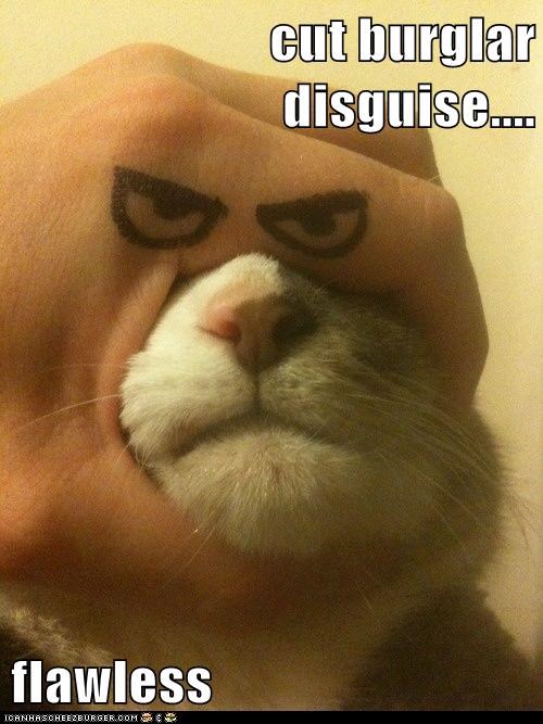 cut burglar disguise....  flawless