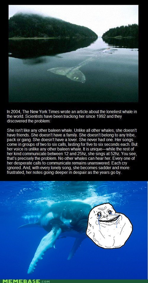 Whale Away