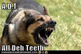 A.D.T.  All Deh Teeth