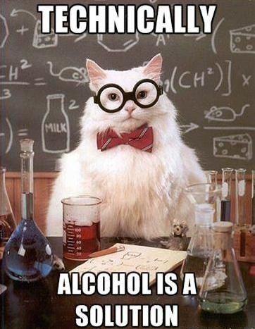 Chemistry Cat Makes a Compelling Argument