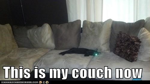 This is my couch now