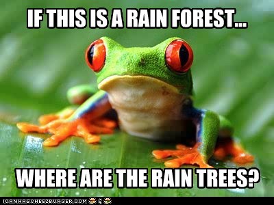 Philosofroggy