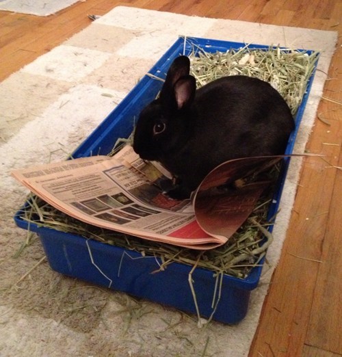 Bunday: Morning Paper
