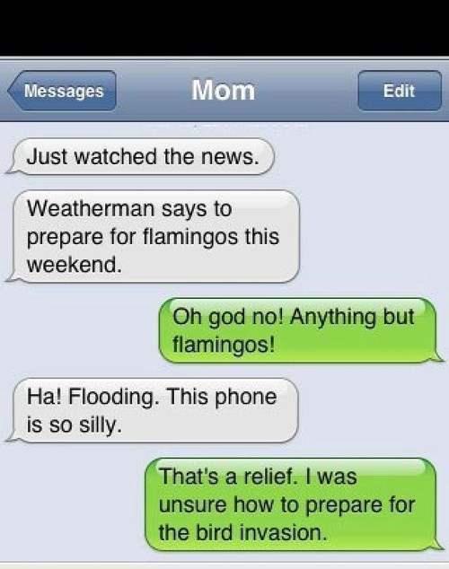 You Can't Predict Flamingos
