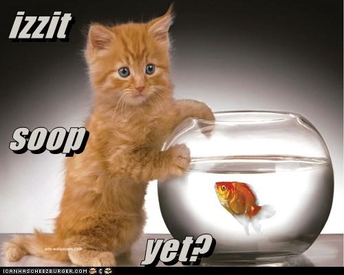 izzit soop yet?