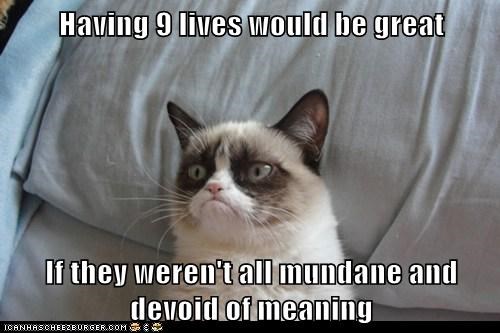 Having 9 lives would be great  If they weren't all mundane and devoid of meaning
