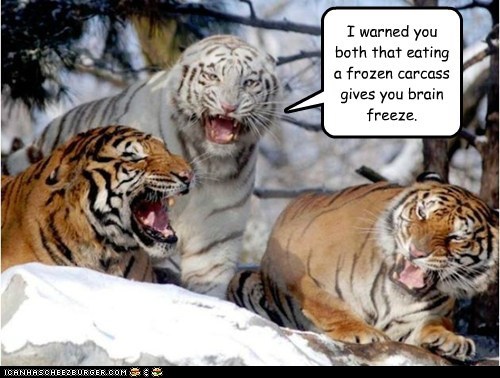 Especially if You Devour it Like That