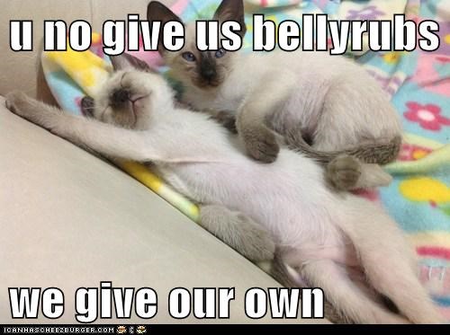 u no give us bellyrubs  we give our own