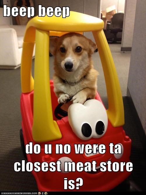 beep beep  do u no were ta closest meat store is?