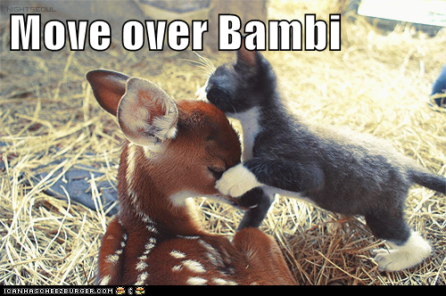 Move over Bambi