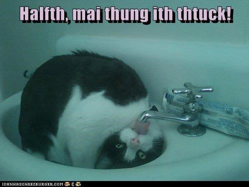 Halfth, mai thung ith thtuck!
