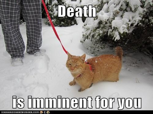 Death  is imminent for you