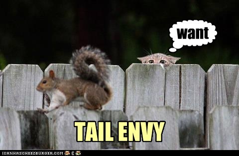 TAIL ENVY