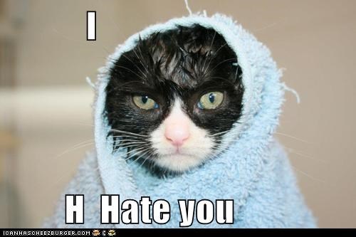 I           H  Hate you