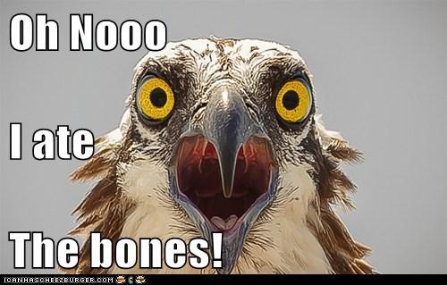Oh Nooo I ate The bones!