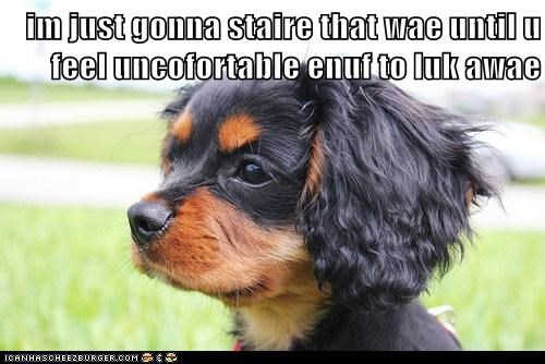 im just gonna staire that wae until u feel uncofortable enuf to luk awae