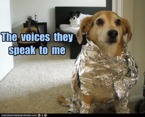 The  voices  they   speak  to  me