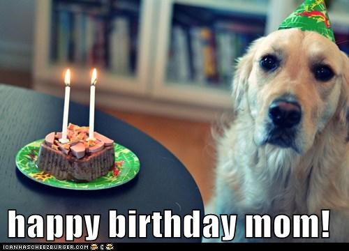 happy birthday mom!