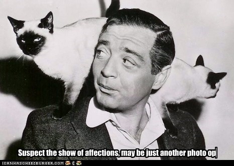 Peter Lori's Cats