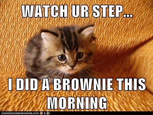 WATCH UR STEP...  I DID A BROWNIE THIS MORNING