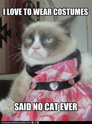 COSTUME CAT