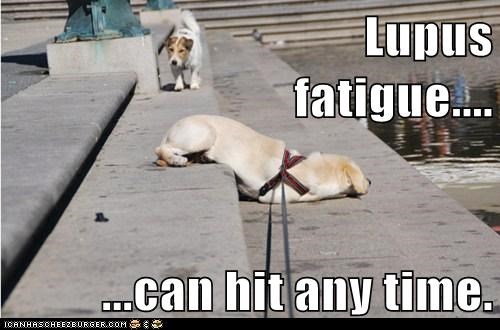 Lupus                              fatigue....  ...can hit any time.