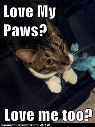 Love My Paws?  Love me too?