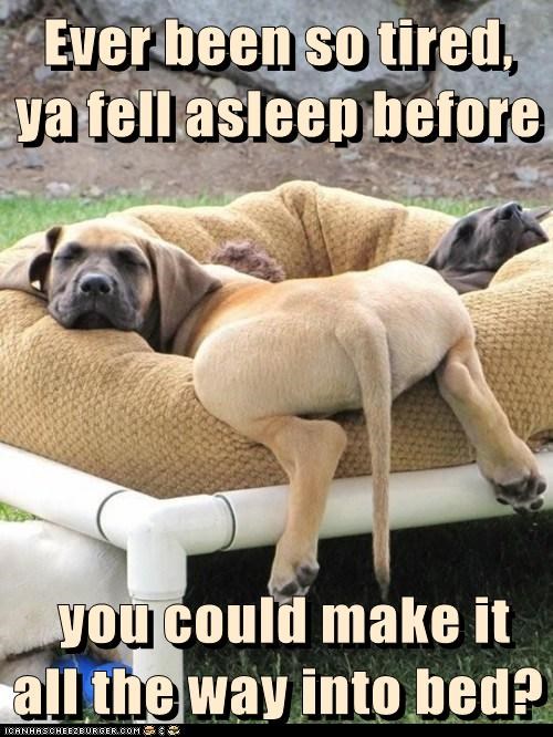 Ever been so tired,   ya fell asleep before   you could make it      all the way into bed?