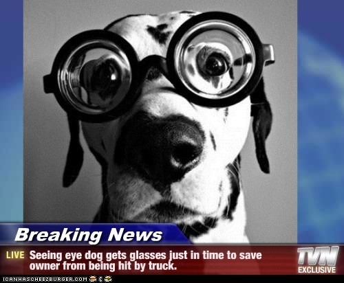 Breaking News - Seeing eye dog gets glasses just in time to save owner from being hit by truck.