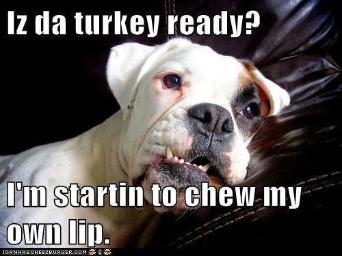 Iz da turkey ready?  I'm startin to chew my own lip.
