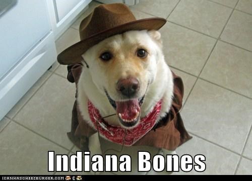 Indiana Bones