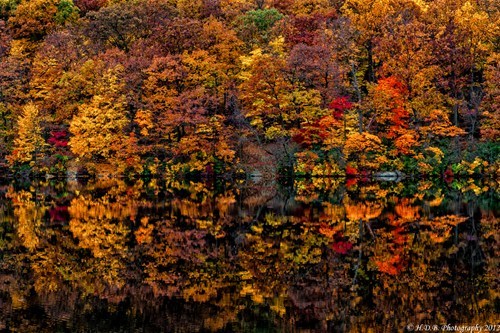 Fall in Double