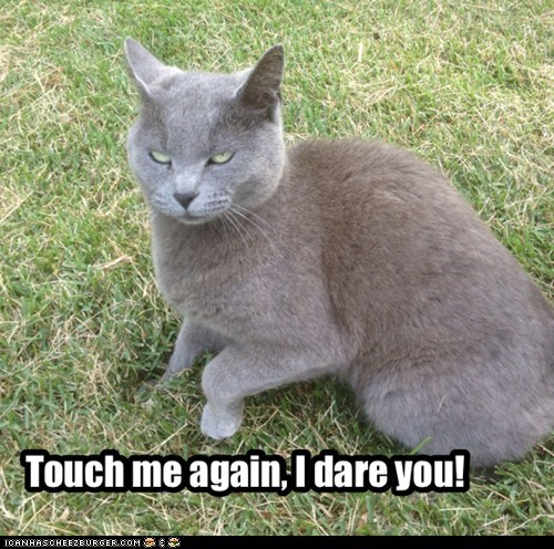 Touch me again, I dare you!