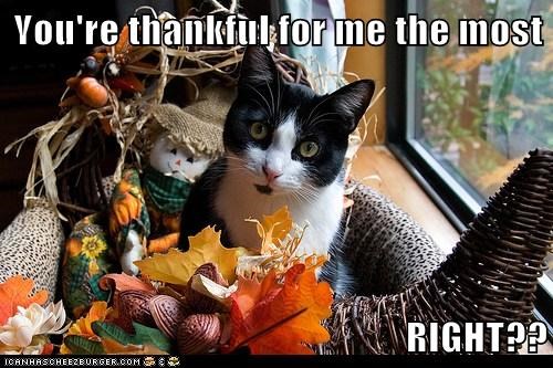 You're thankful for me the most  RIGHT??