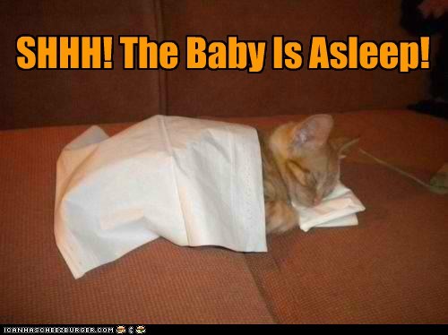 SHHH! The Baby Is Asleep!
