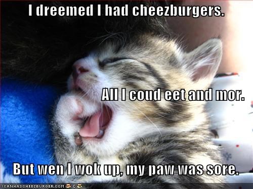 I dreemed I had cheezburgers. All I coud eet and mor.      But wen I wok up, my paw was sore.