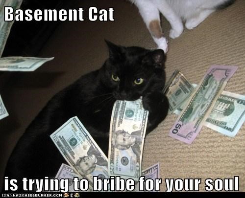 Basement Cat  is trying to bribe for your soul
