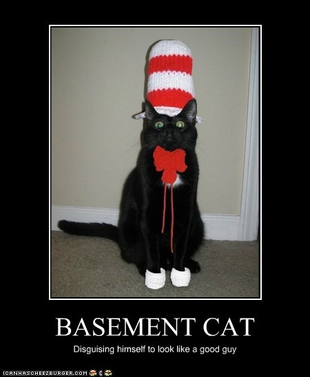 BASEMENT CAT