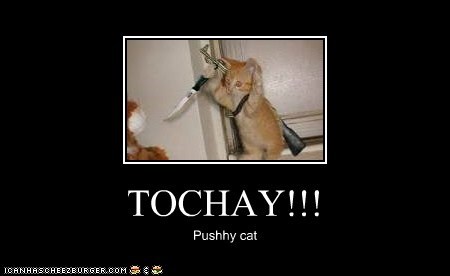 TOCHAY!!!
