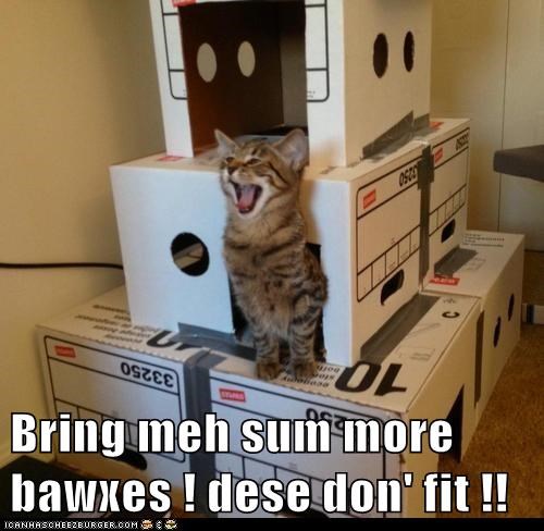 Bring meh sum more bawxes ! dese don' fit !!