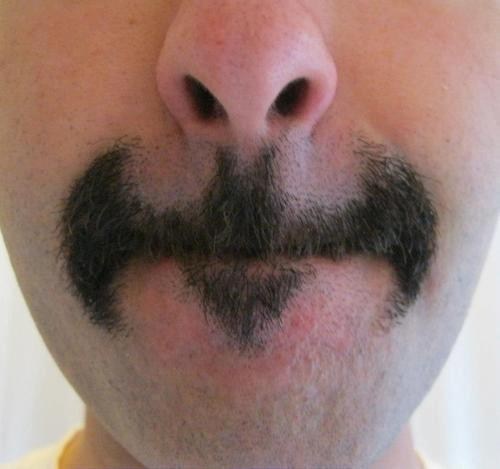Movember Batman WIN