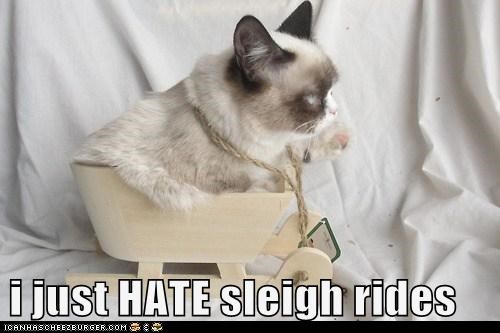 i just HATE sleigh rides