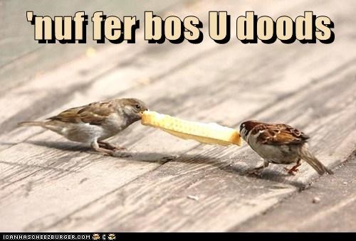 'nuf fer bos U doods