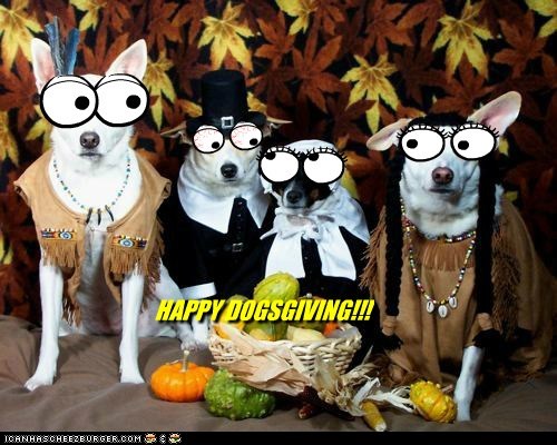 HAPPY DOGSGIVING!!!