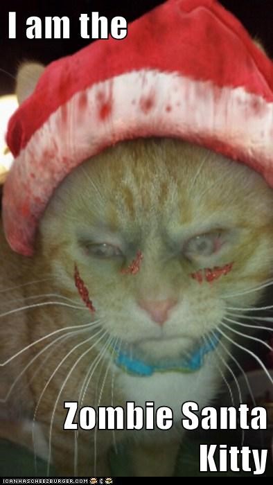 I am the  Zombie Santa Kitty